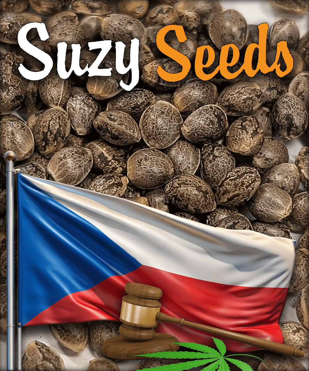 Czech legalized