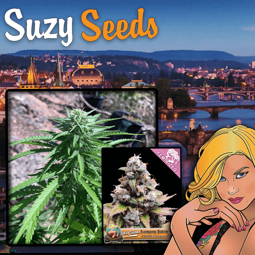 Czech republic legalized Cannabis