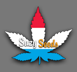 Luxemburg legaliseert Cannabis 