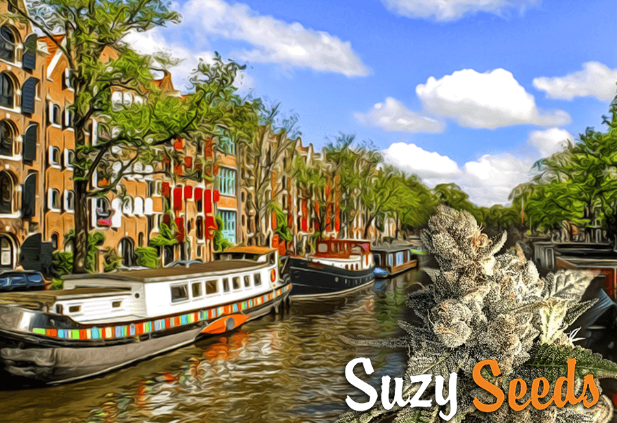 Amsterdam