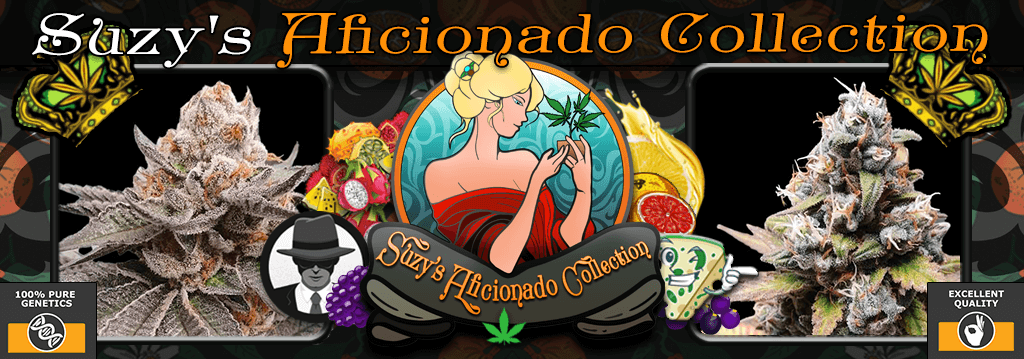Suzy's Aficionado Collection