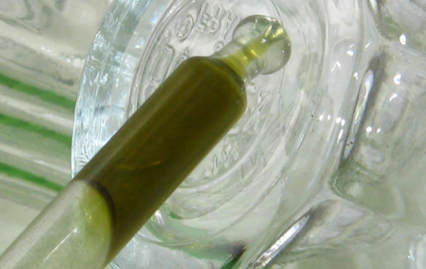 Cannabis Oil - Medical Cannabis Seeds 