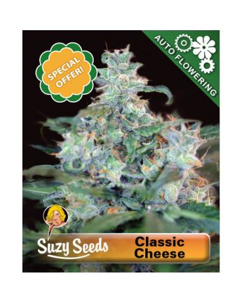 Classic Cheese Auto