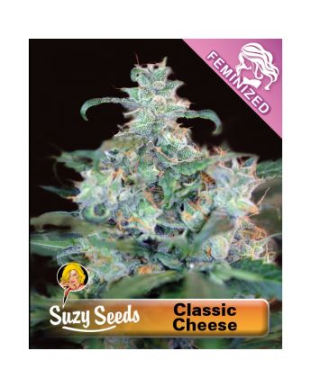 Classic Cheese