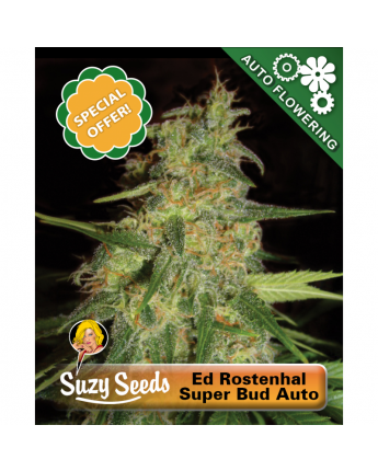 Ed Rosenthal Super Bud Auto