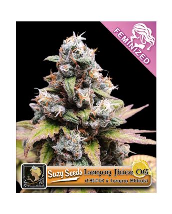 Lemon Juice OG