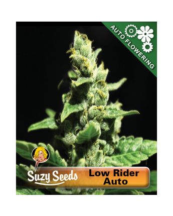 Lowryder Auto