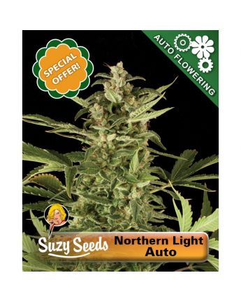 Northern Light Auto