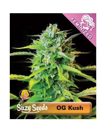 OG Kush