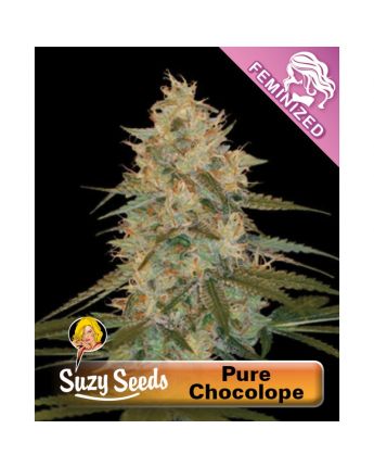 Pure Chocolope