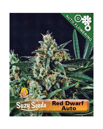 Red Dwarf Auto