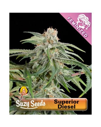 Superior Diesel