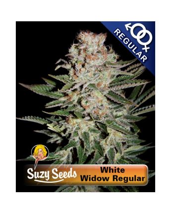 White Widow