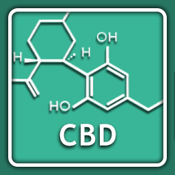 CBD Oil