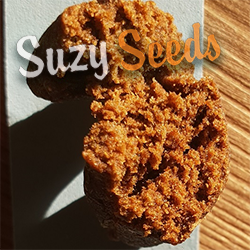Suzys Hasch-Spezial: Alles, was Sie über Hasch und die Herstellung von Hasch wissen müssen