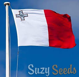 Malta is the first country in EU to legalize homegrown cannabis and clubs