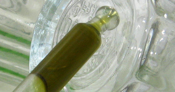 The medicinal science behind cannabinoids, terpenes, and flavonoids