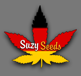Duitsland gaat recreatieve cannabis legaliseren en reguleren