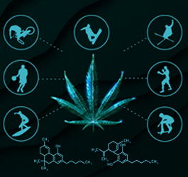 Warum Cannabis und Sport gut zusammenpassen