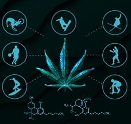 Why cannabis and sports go well together