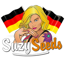 Cannabis-Stecklinge kaufen in Deutschland nicht erlaubt