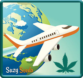 Cannabis-Tourismus? Dies sind die Orte, die Sie besuchen sollten