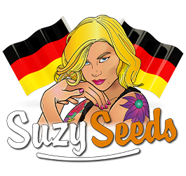 Cannabis-Stecklinge kaufen in Deutschland nicht erlaubt