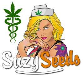 Why Dutch medicinal cannabis patients prefer homegrown over the pharmacy