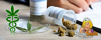 Medical cannabis Seeds