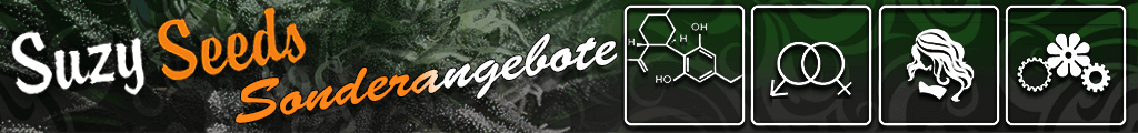 Sonderangebote Autoflowering & Feminisierte Hanfsamen