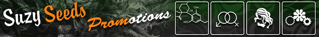 Promotions Graines de Cannabis Autofloraison & Féminisées